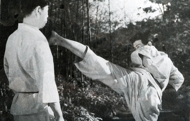 Yokogeri Kekomi